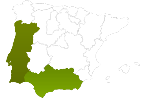 Mapa de España con Andalucía señalada
